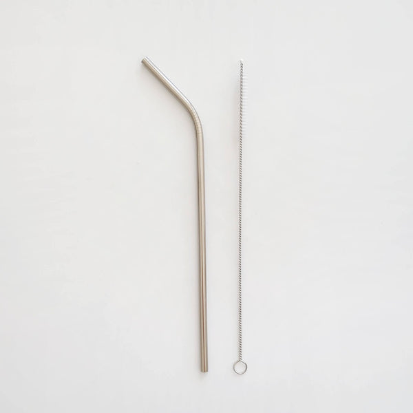 Stainless Steel Straw and Brush Set