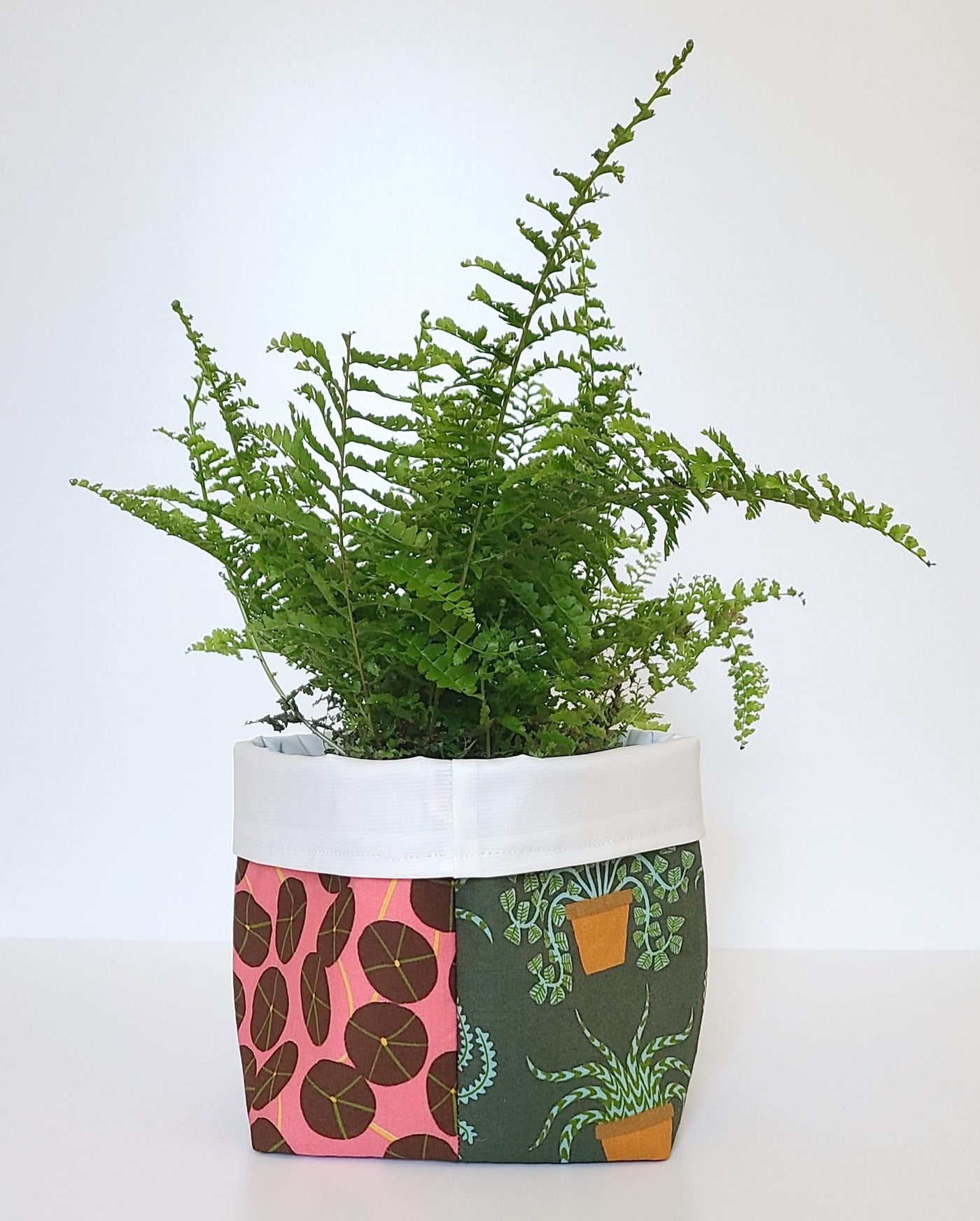 #77 Mix and Match Plant Hug